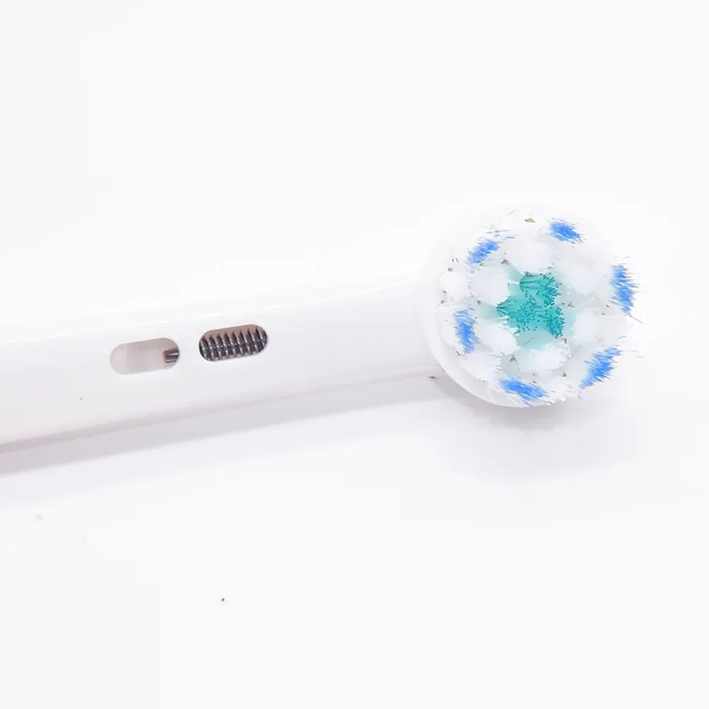 EB60-T T Series Replacement Brush Head