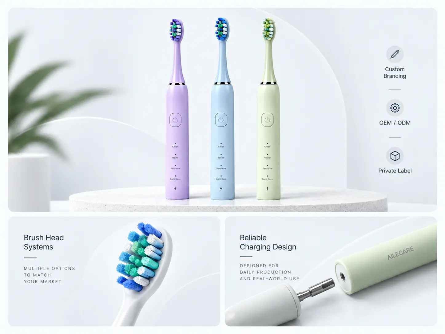 Electric toothbrush OEM ODM product customization with brush head and charging design