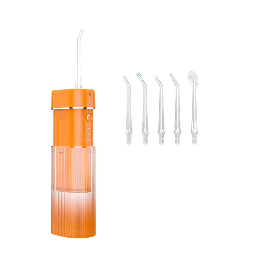 Water Flosser Model WF309